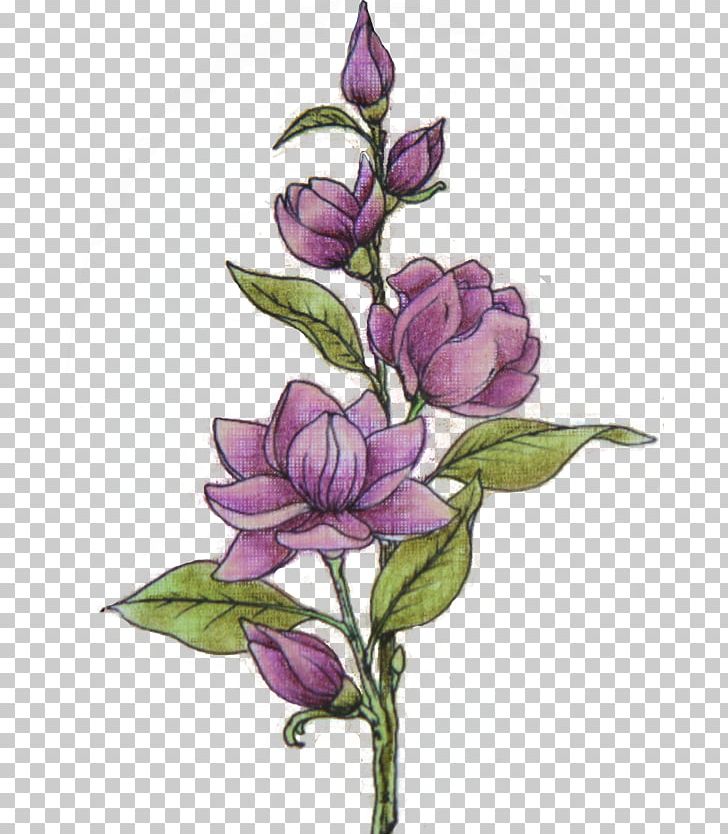 Cut Flowers Centifolia Roses Plant Bud PNG, Clipart, Branch, Bud, Centifolia Roses, Cut Flowers, Flora Free PNG Download