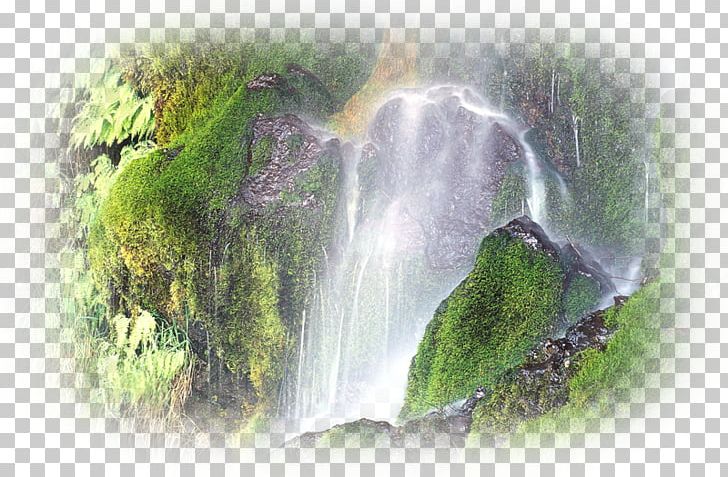 Elwha River Sol Duc Falls National Park Nature Story Olympic National Forest PNG, Clipart, Cape Flattery, Computer Wallpaper, Elwha River, Hiking, Music Free PNG Download