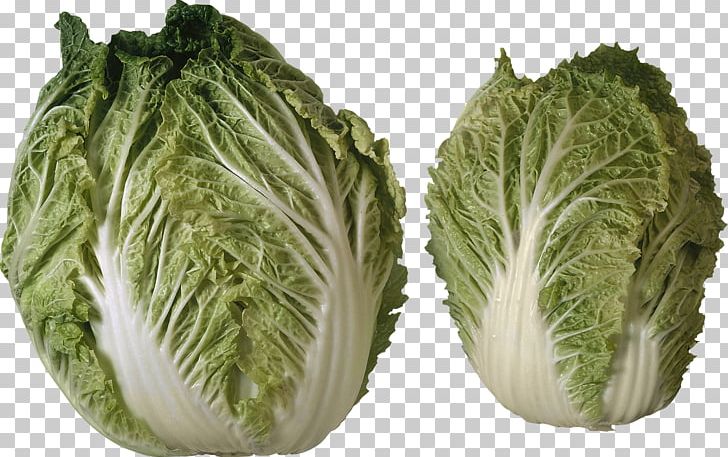 Iceberg Lettuce Salad Vegetable Tomato PNG, Clipart, Cabbage, Chicory, Coffee, Collard Greens, Cruciferous Vegetables Free PNG Download