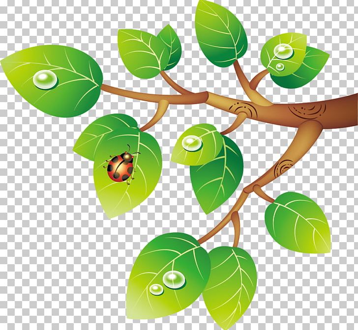 Watercolor Leaves Leaf Branch PNG, Clipart, Banana Leaves, Branch, Cartoon, Circle, Designer Free PNG Download