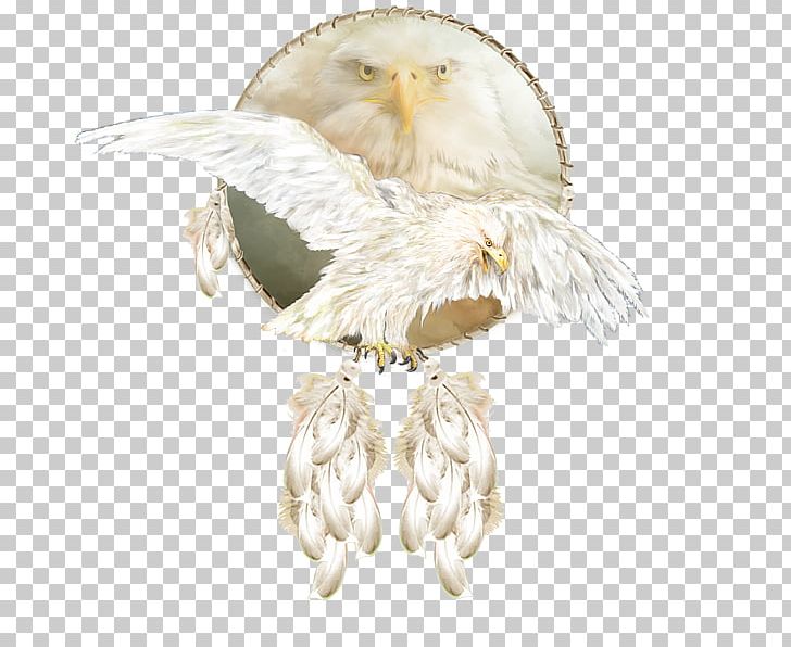 Owl Bird Feather Beak Imitation Gemstones & Rhinestones PNG, Clipart, Beak, Bird, Bird Of Prey, Craft, Decorative Arts Free PNG Download