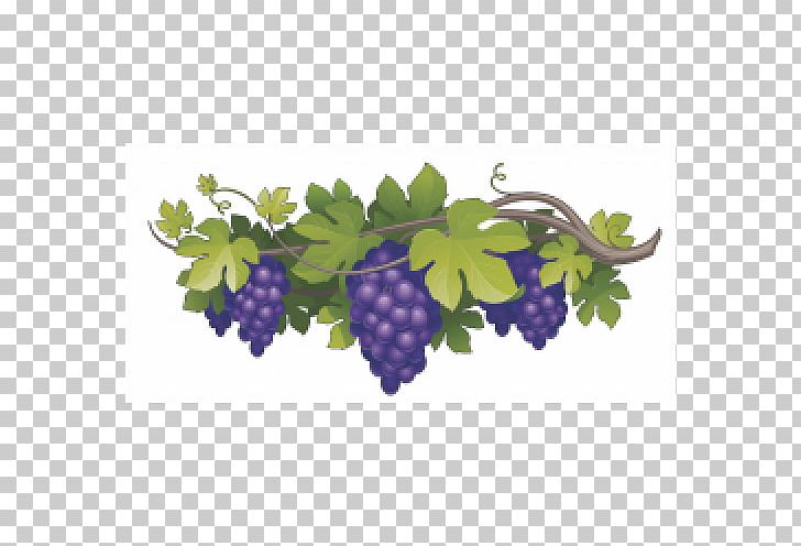 Wine Clubs Common Grape Vine PNG, Clipart, Art, Flowering Plant, Food, Food Drinks, Fruit Free PNG Download
