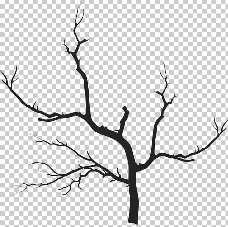 Branch PNG, Clipart, Art, Bird, Black And White, Branch, Can Stock Photo Free PNG Download