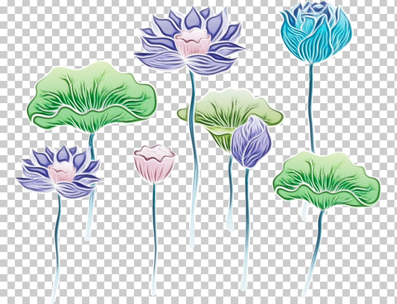 Flower Plant Plant Stem Leaf Tulip PNG, Clipart, Anemone, Aquatic Plant, Flower, Leaf, Paint Free PNG Download