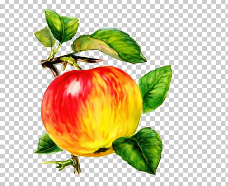 Apples Auglis Presentation Pome Fruit PNG, Clipart, Food, Fruit, Fruit Nut, Green Apple, Hand Free PNG Download