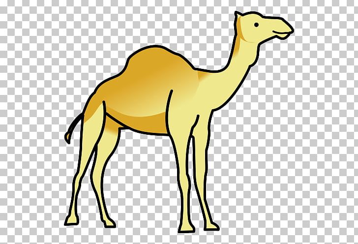 Dromedary Dog Cat Lion Common Ostrich PNG, Clipart, Animal, Animal Figure, Animals, Arabian Camel, Arasaac Free PNG Download