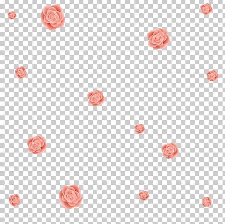 Flower Beach Rose Petal PNG, Clipart, Christmas Lights, Circle, Deduction, Download, Dream Free PNG Download