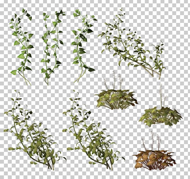 Green Vines PNG, Clipart, Bindweed, Branch, Cartoon, Computer Icons, Design Free PNG Download