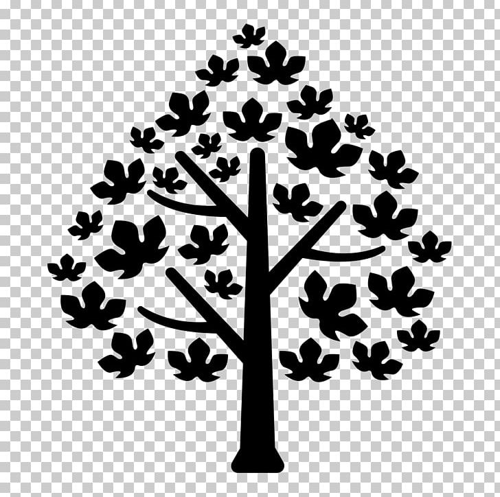Maple Canada Organization Computer Icons PNG, Clipart, Black And White, Branch, Canada, Company, Computer Icons Free PNG Download