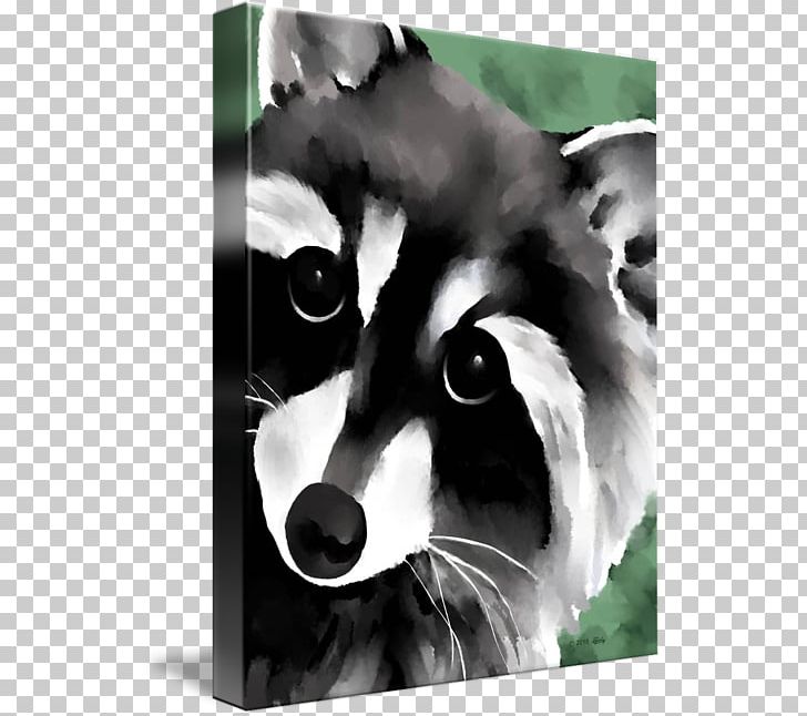 The Raccoon Watercolor Painting Art PNG, Clipart, Art, Blanket, Canvas, Carnivoran, Decoration Free PNG Download