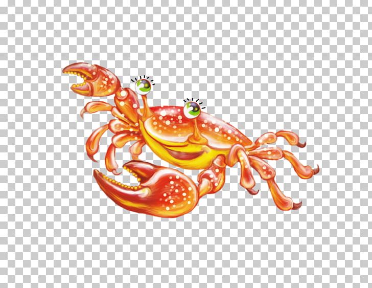 Crabe Decapoda Pliers PNG, Clipart, Animals, Animal Source Foods, Christmas Island Red Crab, Crab, Crabe Free PNG Download