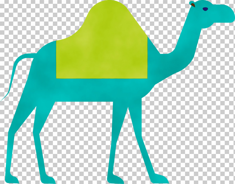 Camel Green Arabian Camel Camelid Animal Figure PNG, Clipart, Animal Figure, Arabian Camel, Arabic Culture, Camel, Camelid Free PNG Download
