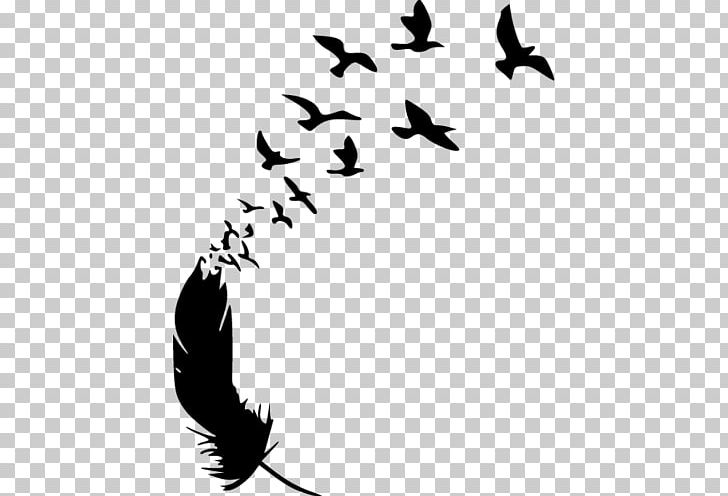 Bird Feather Sticker Stencil PNG, Clipart, Animal Migration, Animals, Avatan Plus, Beak, Bird Free PNG Download