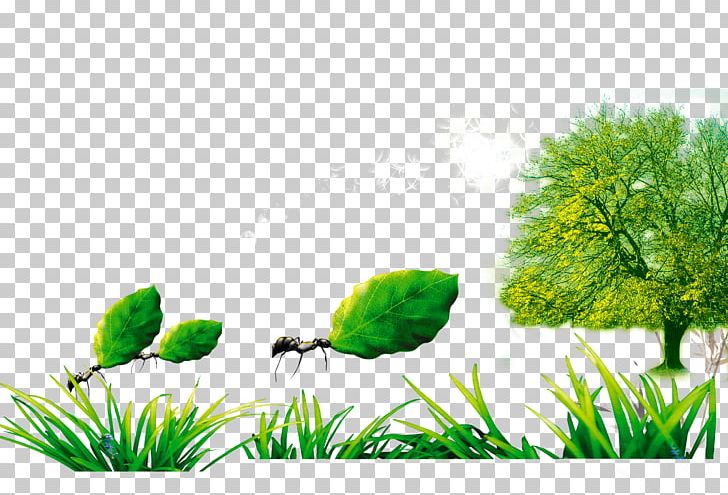 Low-carbon Economy Advertising Publicity Slogan PNG, Clipart, Ant, Background Green, Business, Computer Wallpaper, Energy Conservation Free PNG Download