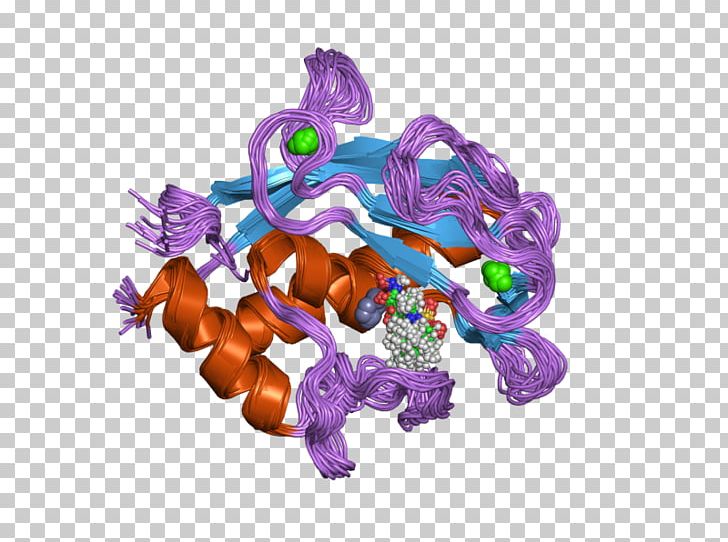 MMP20 Protease Matrix Metalloproteinase Matrix Metallopeptidase 20 (enamelysin) PNG, Clipart, Eukaryote, Homo Sapiens, Matrix Metalloproteinase, Metalloproteinase, Others Free PNG Download