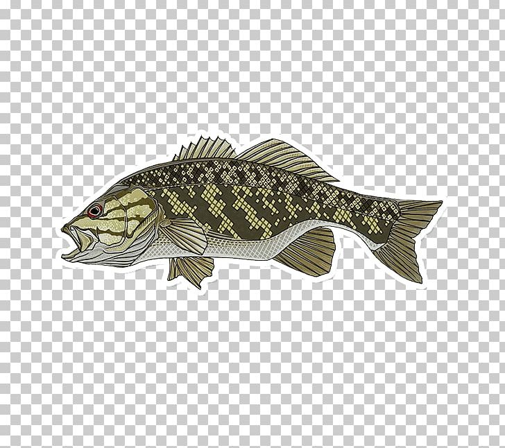 Smallmouth Bass Largemouth Bass Bass Fishing PNG, Clipart, Angling, Bass, Bass Fishing, Casey, Decal Free PNG Download