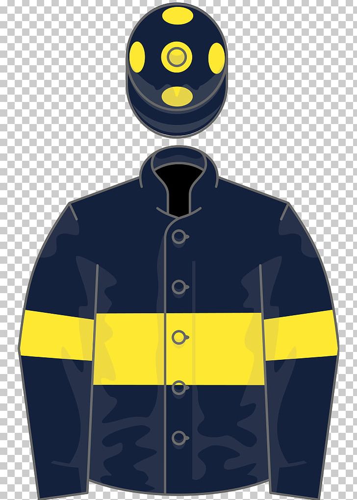Thoroughbred Ascot Racecourse Racing Post Trophy Horse Racing Ascot Gold Cup PNG, Clipart, Aidan Obrien, Ascot Gold Cup, Ascot Racecourse, Boulder Media Limited, Electric Blue Free PNG Download