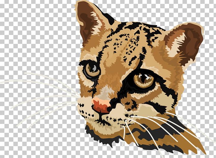 Whiskers Tiger Leopard Ocelot Cat PNG, Clipart, Animal, Big Cats, Carnivoran, Cat, Cat Like Mammal Free PNG Download