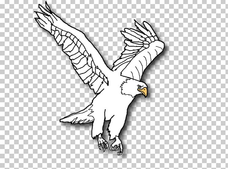 Bald Eagle Line Art PNG, Clipart, Animal, Animal Figure, Animals, Art, Artwork Free PNG Download