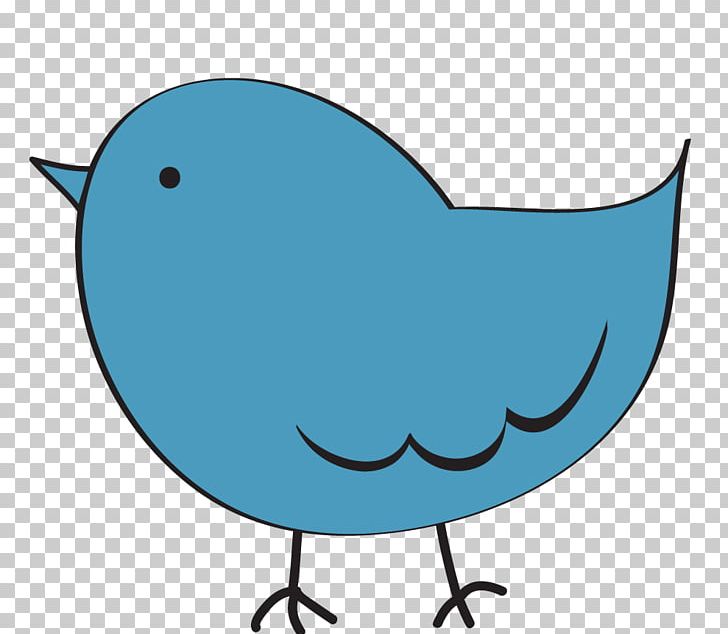 Bird PNG, Clipart, Area, Beak, Bird, Blue, Cute Bird Clipart Free PNG Download