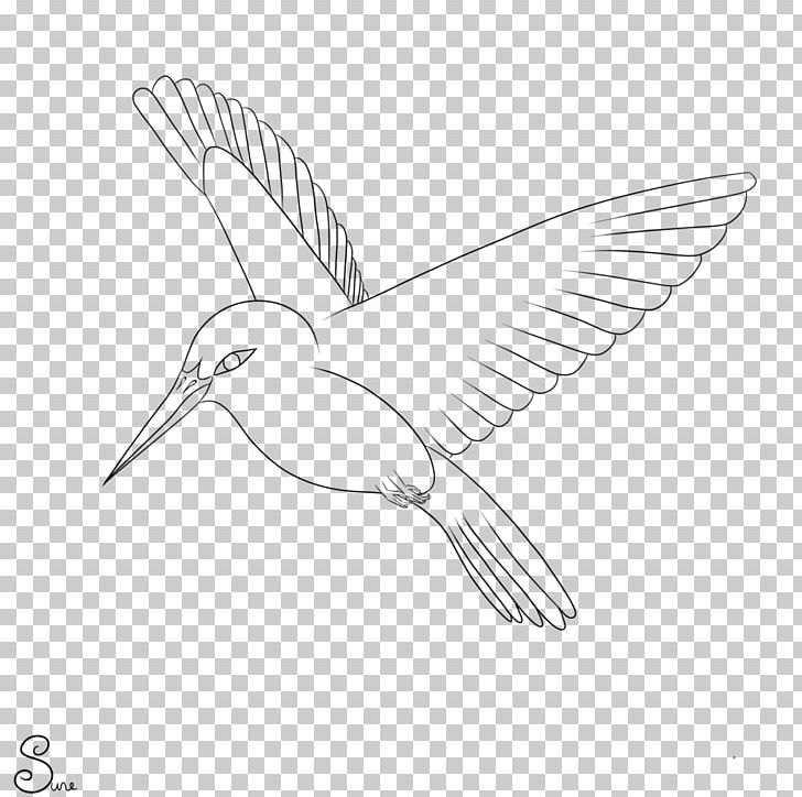 Bird Drawing Monochrome Black And White PNG, Clipart, Animal, Animals, Artwork, Beak, Bird Free PNG Download