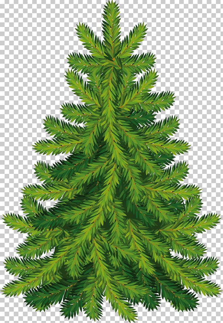Christmas Tree Fir PNG, Clipart, Artificial Christmas Tree, Biome, Cat, Christmas, Christmas Decoration Free PNG Download