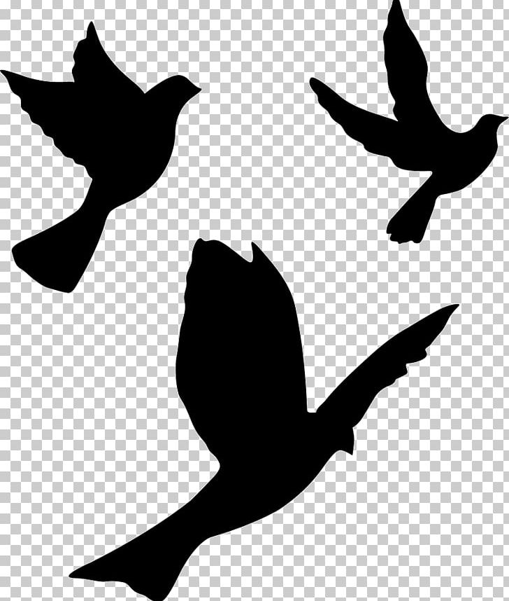 Computer Icons Encapsulated PostScript PNG, Clipart, Albatross, Animals, Beak, Bird, Black And White Free PNG Download