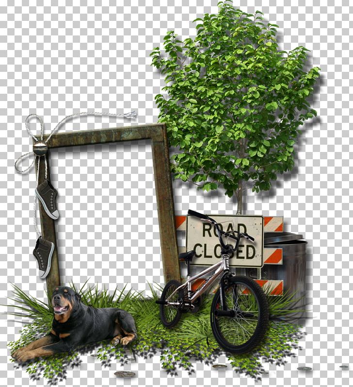Frames Photography PNG, Clipart, Bicycle, Cadre Dentreprise, Collage, Depositfiles, Flowerpot Free PNG Download