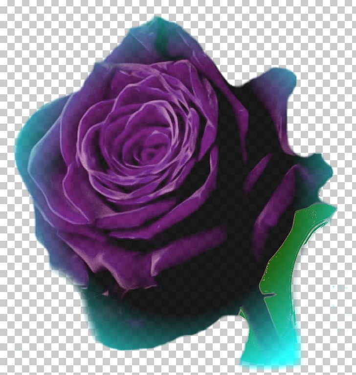 Garden Roses Animation Photography Cabbage Rose PNG, Clipart, Animation, Cartoon, Cut Flowers, Flower, Flowering Plant Free PNG Download