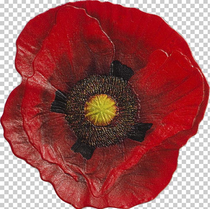Remembrance Poppy Silver Coin In Flanders Fields PNG, Clipart, Armistice Day, Coin, Commemorative Coin, Common Poppy, Coquelicot Free PNG Download