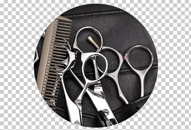 Beauty Parlour Cosmetologist Hairstyle Comb PNG, Clipart, Barber, Beauty, Beauty Parlor, Beauty Parlour, Comb Free PNG Download