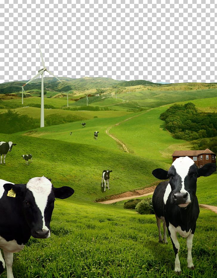 Cattle Farm Layered File Format PNG, Clipart, Agriculture, Animals, Cartoon Cow, Cattle Like Mammal, Chainlink Fencing Free PNG Download