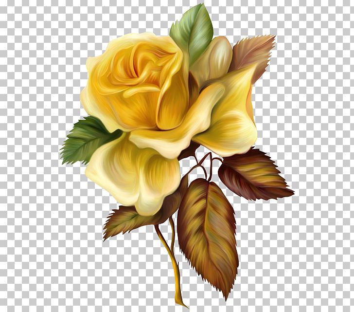 Painting Yellow Rose Oil Paint PNG, Clipart, Art, Cut Flowers, Floral Design, Floristry, Flower Free PNG Download