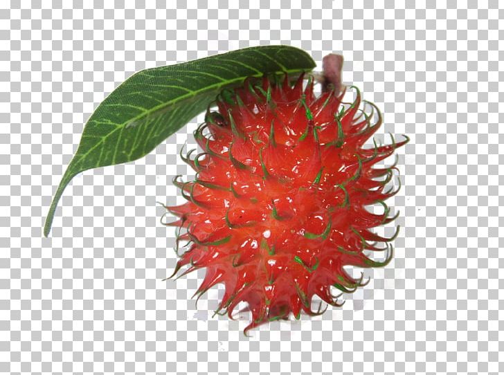 Rambutan Thai Cuisine Strawberry PNG, Clipart, Computer Icons, Editing, Food, Fruit, Fruit Nut Free PNG Download