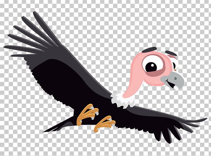 Colca Canyon Bird Andean Condor Desktop PNG, Clipart, Andean Condor, Andes, Art, Beak, Bird Free PNG Download