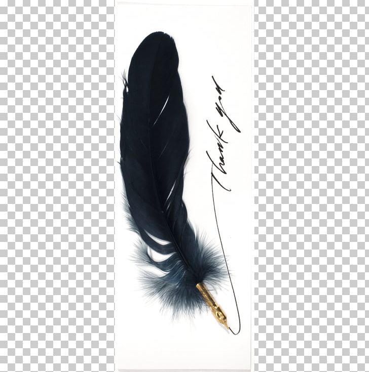 Feather PNG, Clipart, Animals, Feather, K K, Pen, Quill Free PNG Download