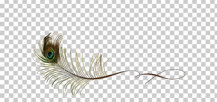 Feather Peafowl PNG, Clipart, Animal, Animals, Artwork, Bird, Butterfly Free PNG Download
