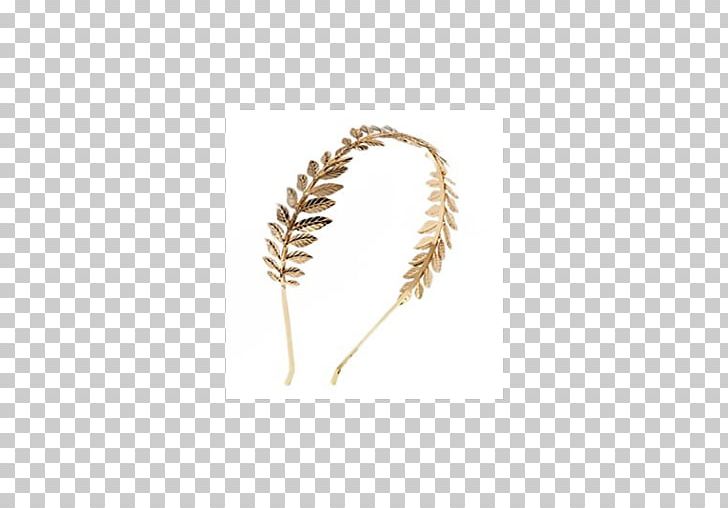 Grasses Food Grain Family PNG, Clipart, Commodity, Diadema, Family, Food, Food Grain Free PNG Download
