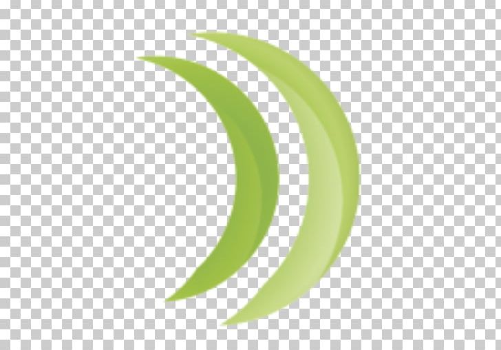 Green Circle Angle PNG, Clipart, Angle, Circle, Education Science, Fruit, Grass Free PNG Download