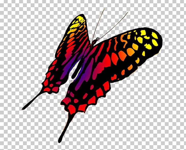 Monarch Butterfly Drawing Swallowtail Butterfly PNG, Clipart, Animal, Arthropod, Brush Footed Butterfly, Butterfly, Child Free PNG Download