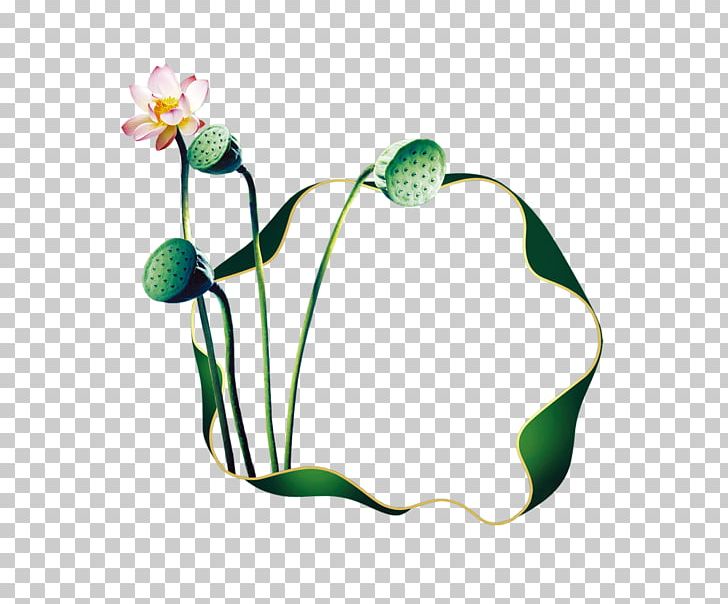 Nelumbo Nucifera Lotus Effect PNG, Clipart, Adobe Illustrator, Circle, Encapsulated Postscript, Flower, Golden Lotus Free PNG Download