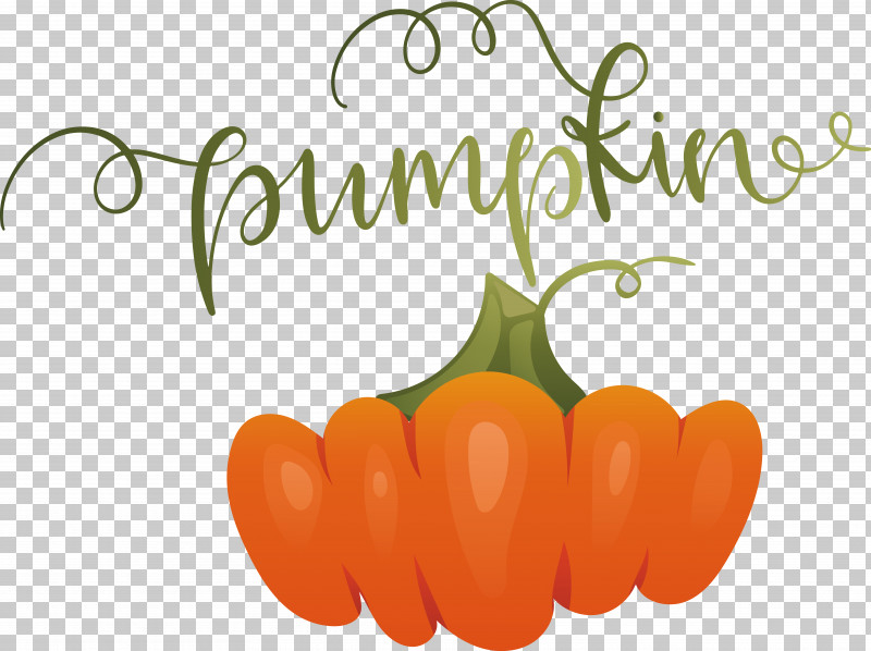 Pumpkin PNG, Clipart, Autumn, Pumpkin Free PNG Download