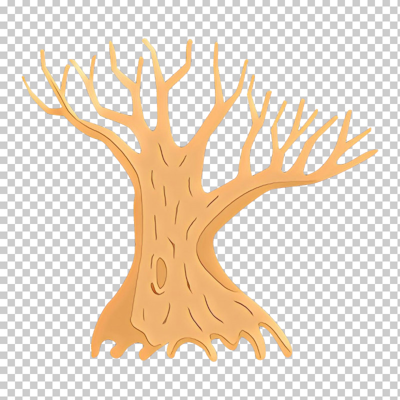 Tree Branch Coral Woody Plant Plant PNG, Clipart, Branch, Cnidaria, Coral, Plant, Tree Free PNG Download