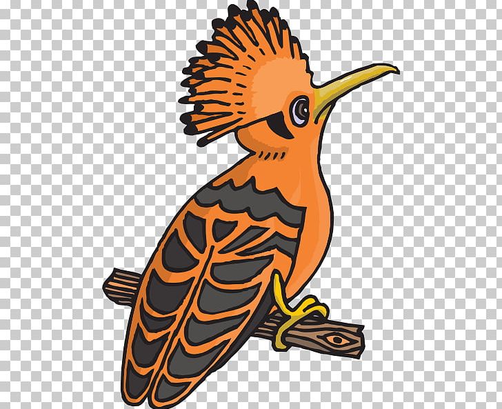 African Hoopoe Bird PNG, Clipart, African Hoopoe, Artwork, Beak, Bird, Cartoon Free PNG Download
