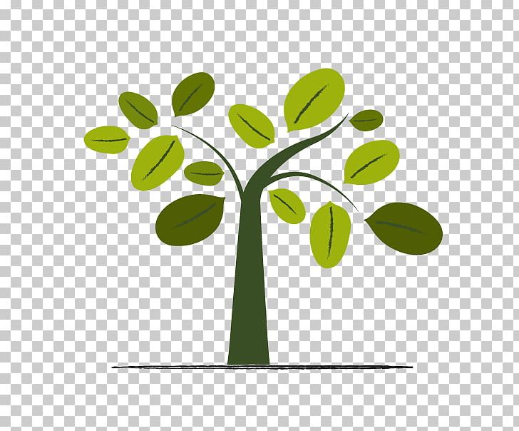 Graphics Tree Illustration Olive PNG, Clipart, Branch, Flora, Food, Grass, Green Free PNG Download
