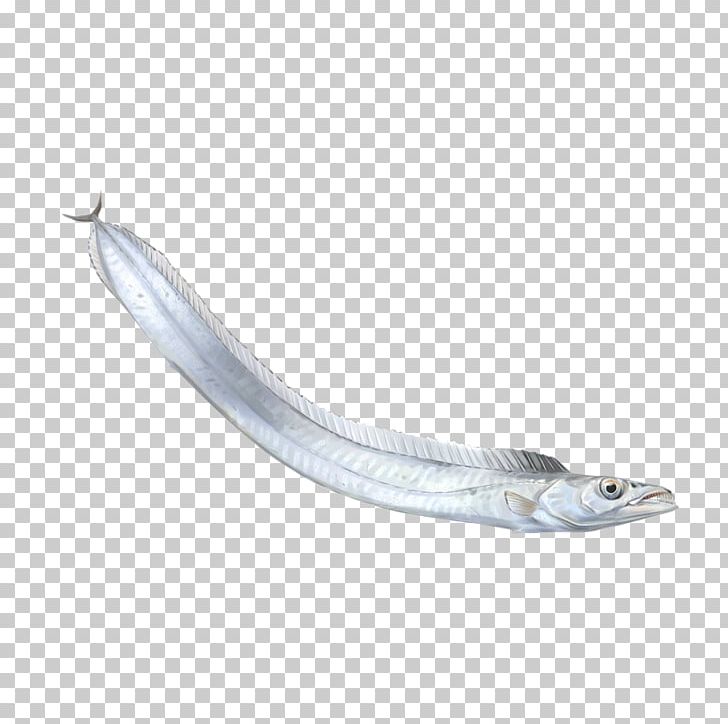 Sardine Oily Fish Reptile Capelin PNG, Clipart, Capelin, Fin, Fish, Herring, Mammal Free PNG Download