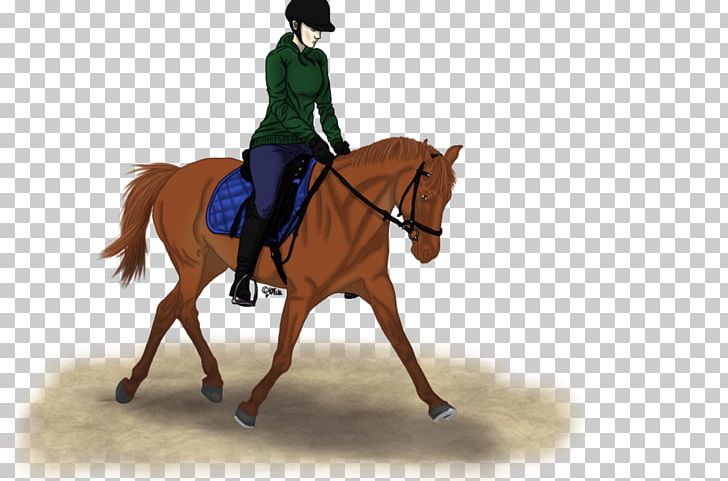 Stallion Hunt Seat Bridle Mustang Mare PNG, Clipart, Bridle, English Riding, Equestrian, Equestrian Sport, Halter Free PNG Download