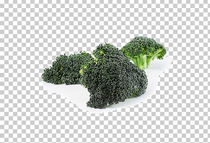 Broccoli Vegetable Kale PNG, Clipart, Broccoli, Cucumber, Eggplant, Flowerpot, Fresh Free PNG Download