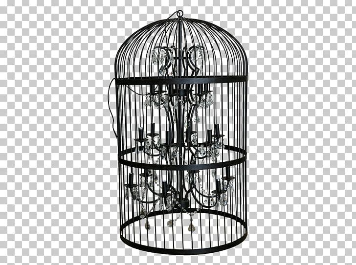 Chandelier Light Fixture Birdcage Crystal PNG, Clipart, Bird, Birdcage, Black, Black And White, Cage Free PNG Download