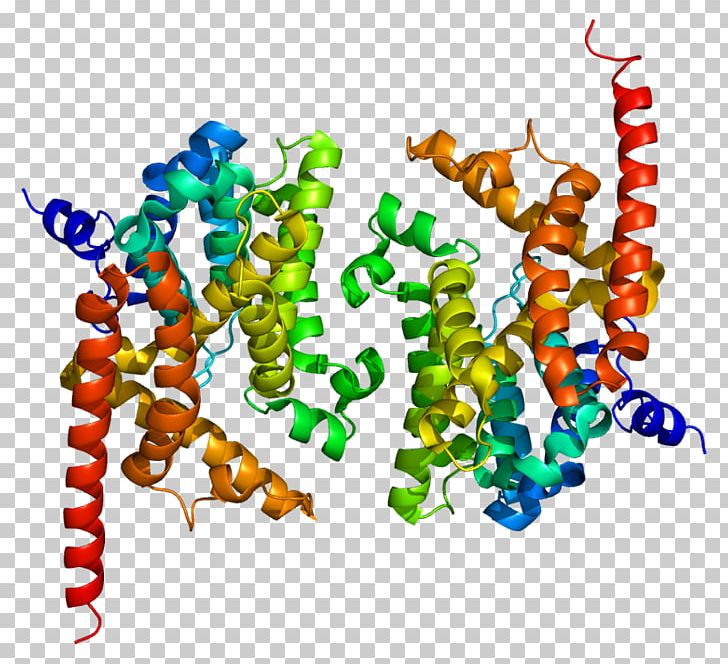 CGMP-specific Phosphodiesterase Type 5 Cyclic Guanosine Monophosphate Cyclic Nucleotide Phosphodiesterase PDE9A PNG, Clipart, Cyclic Adenosine Monophosphate, Enzyme Inhibitor, Fosfodiesterasa 5, Heart, Homo Sapiens Free PNG Download